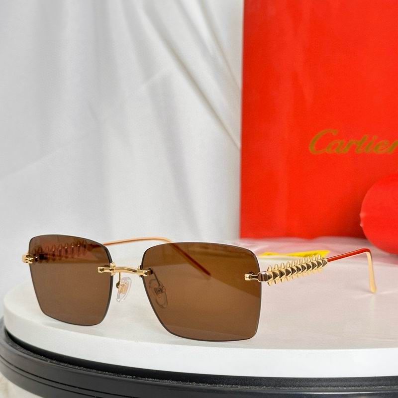 Cartier CT0545 58 17-140 e04