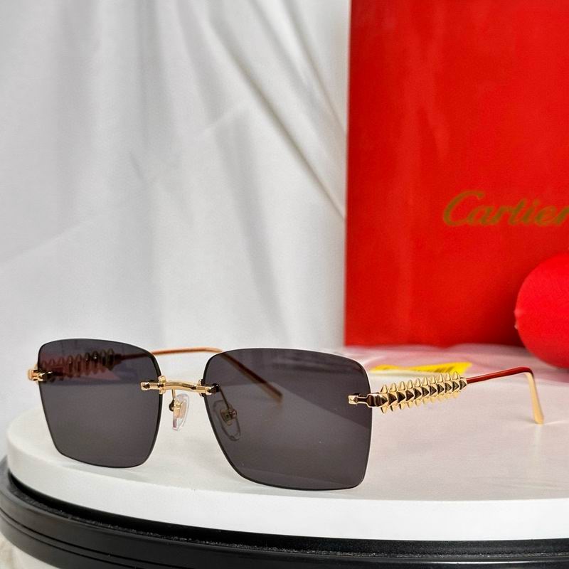 Cartier CT0545 58 17-140 e05