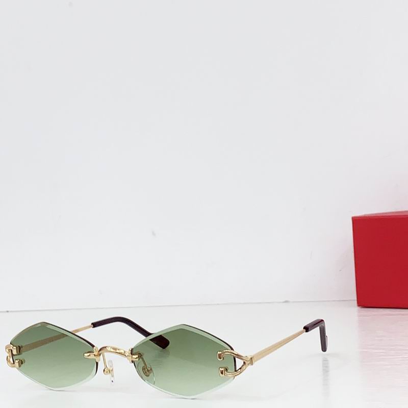 Cartier CT055 140 b01