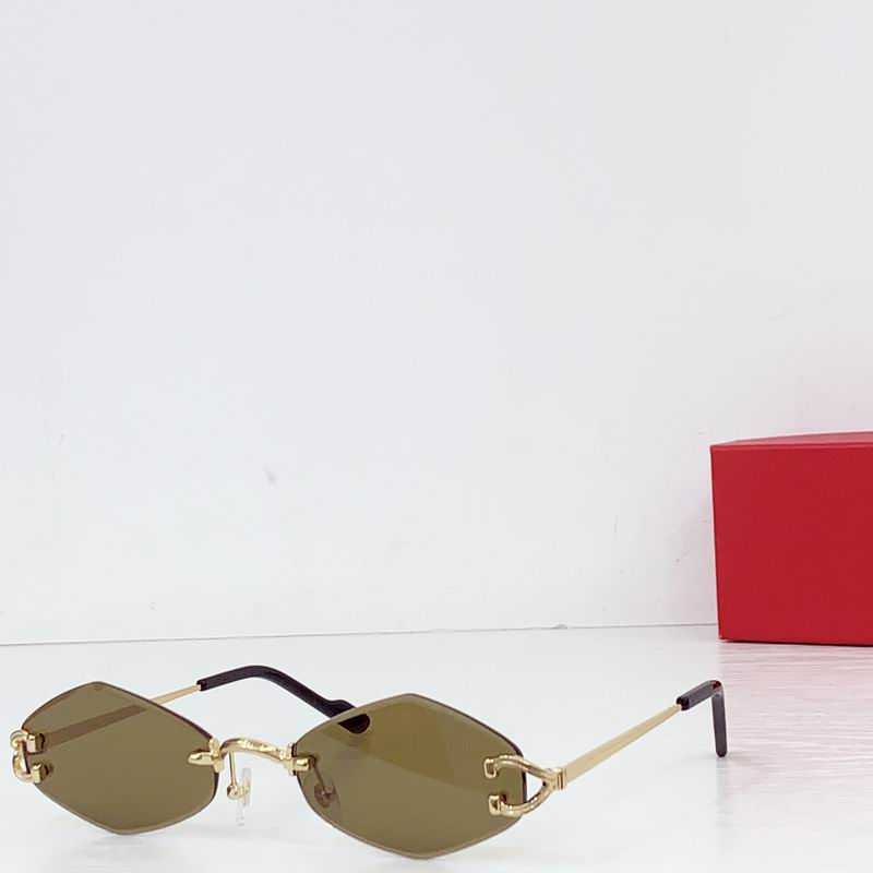 Cartier CT055 140 b02