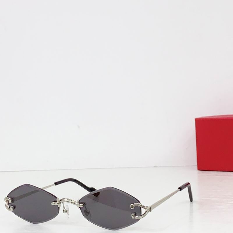 Cartier CT055 140 b03