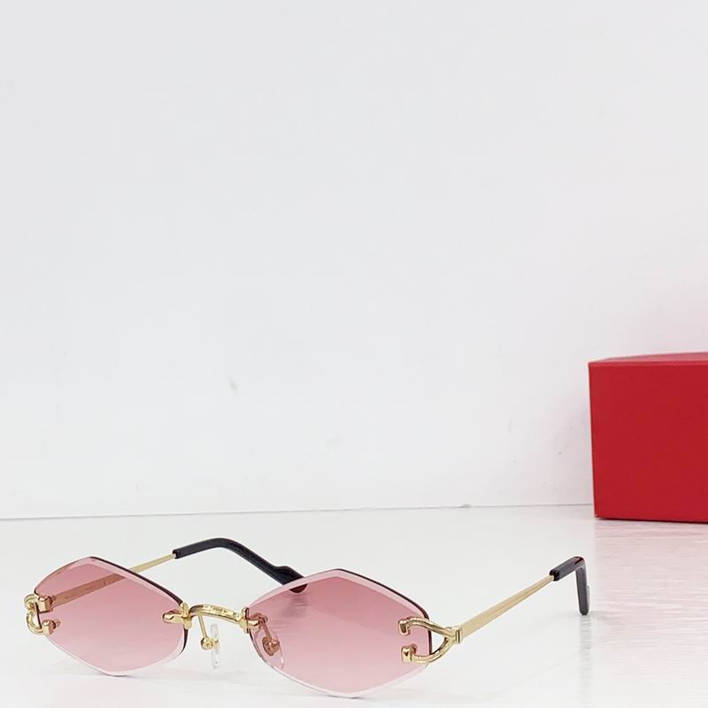 Cartier CT055 140 b04