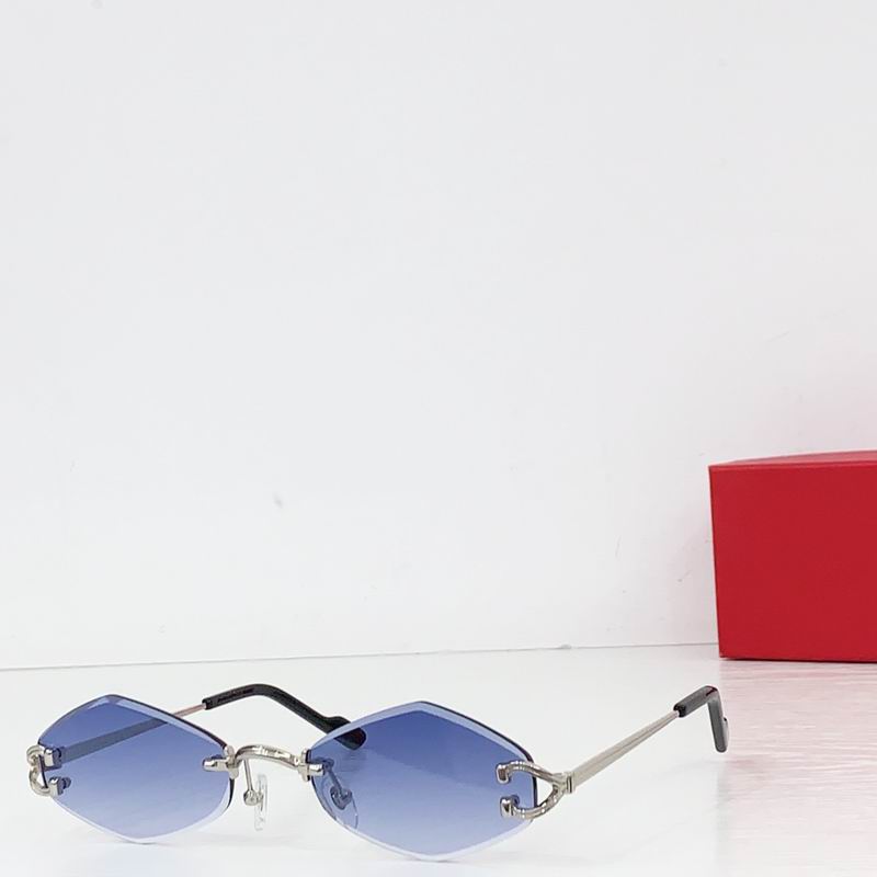 Cartier CT055 140 b05