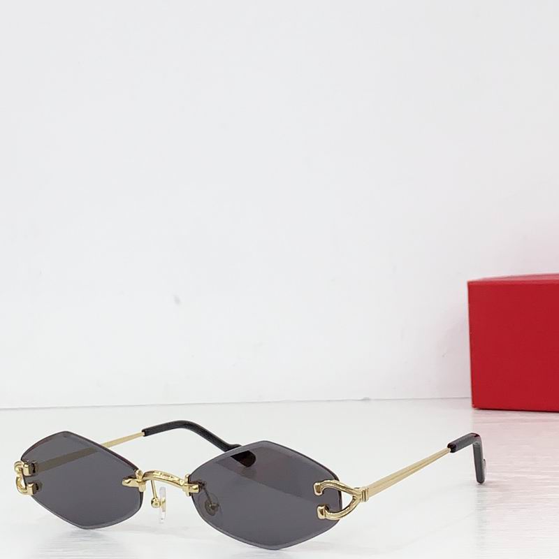 Cartier CT055 140 b06