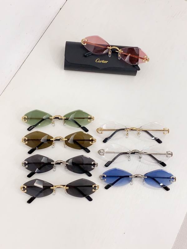 Cartier CT055 140 b09