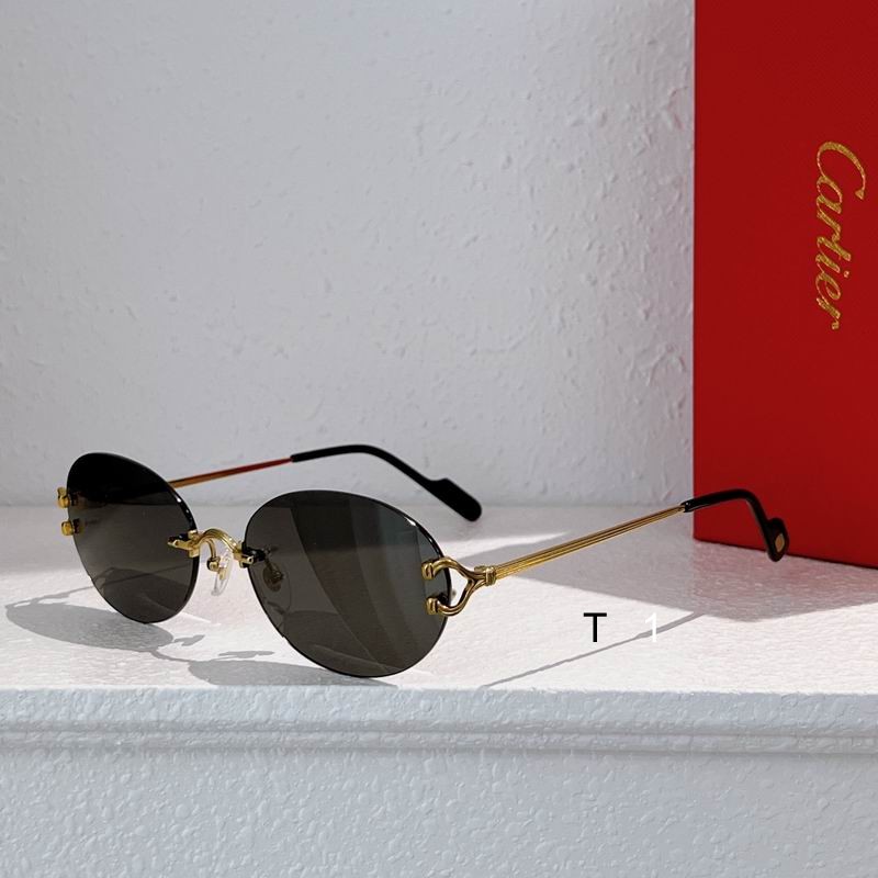 Cartier CT0551S 55 18-140 a03