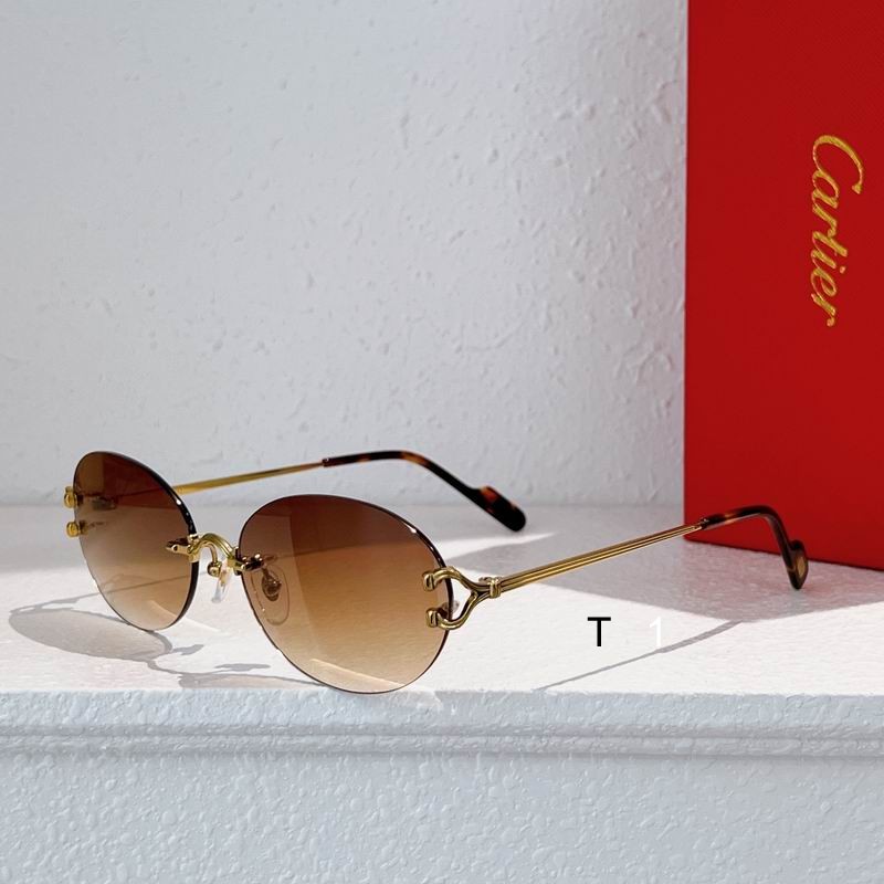 Cartier CT0551S 55 18-140 a04