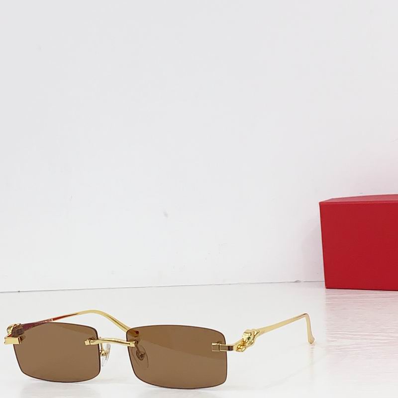 Cartier CT0552S 55 20-140 b01