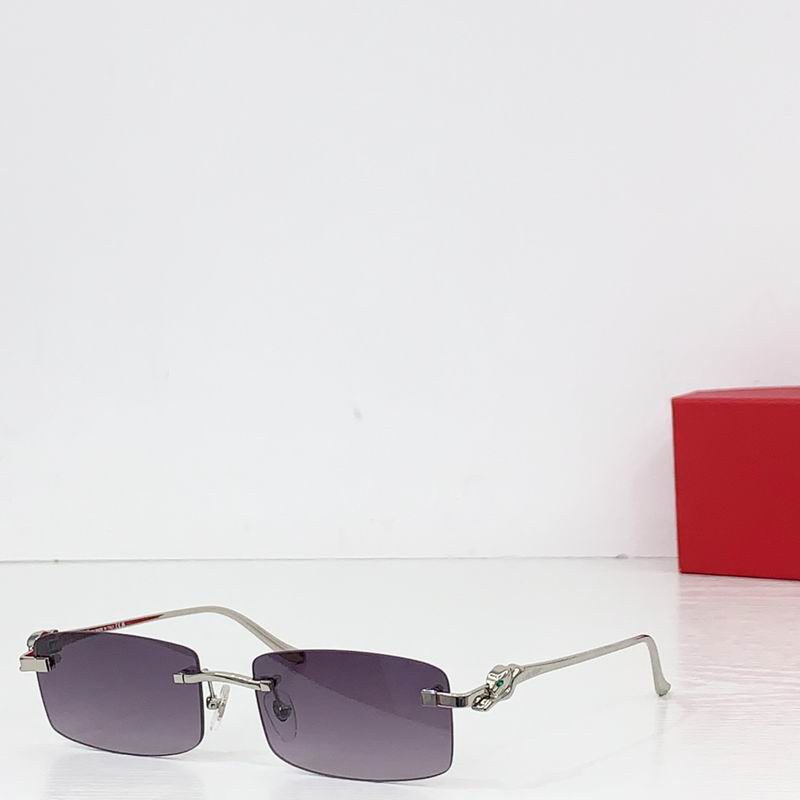 Cartier CT0552S 55 20-140 b06