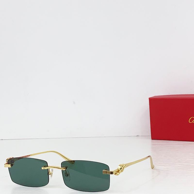 Cartier CT0552S 55 20-140 b07