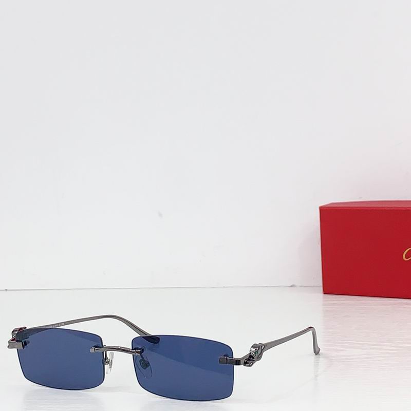 Cartier CT0552S 55 20-140 b08