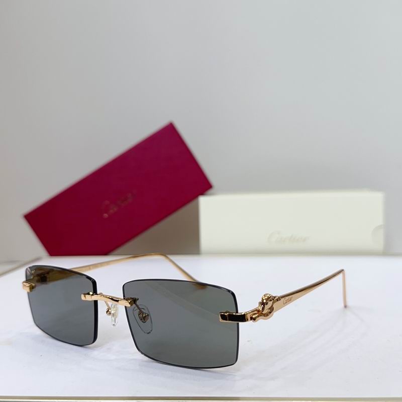 Cartier CT0552S 55 22-135 G01