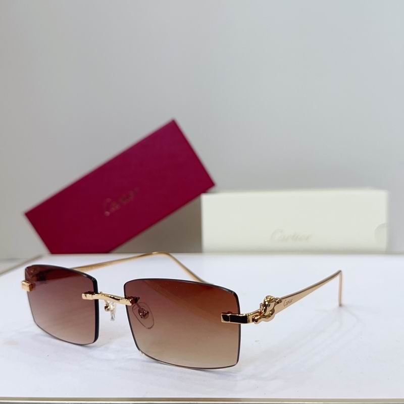 Cartier CT0552S 55 22-135 G02