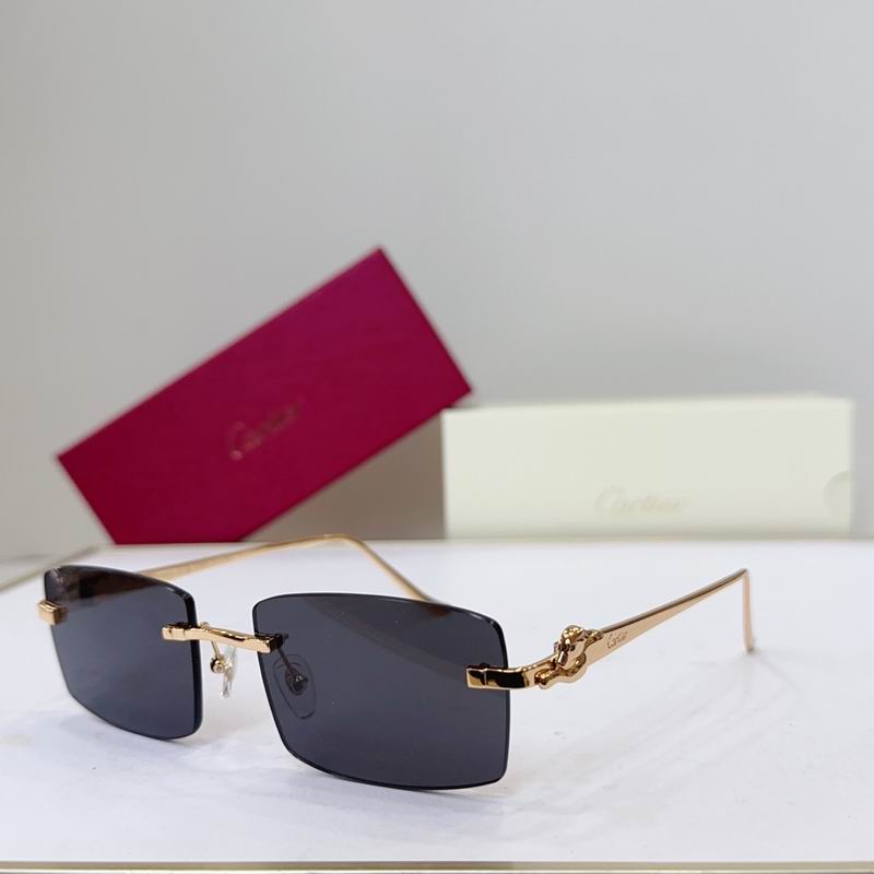 Cartier CT0552S 55 22-135 G03