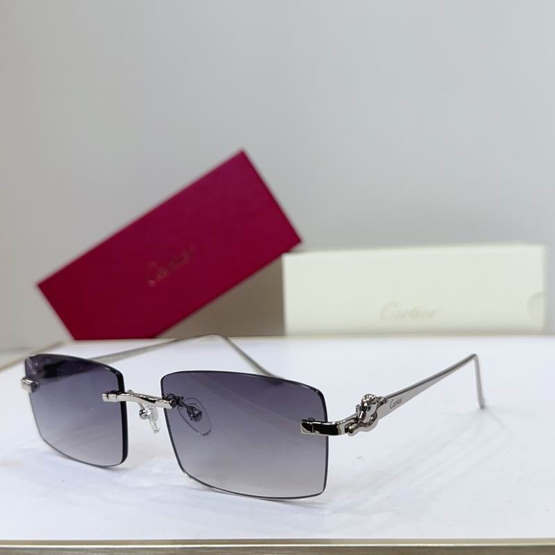 Cartier CT0552S 55 22-135 G04