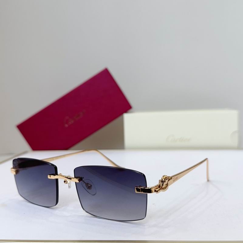 Cartier CT0552S 55 22-135 G05