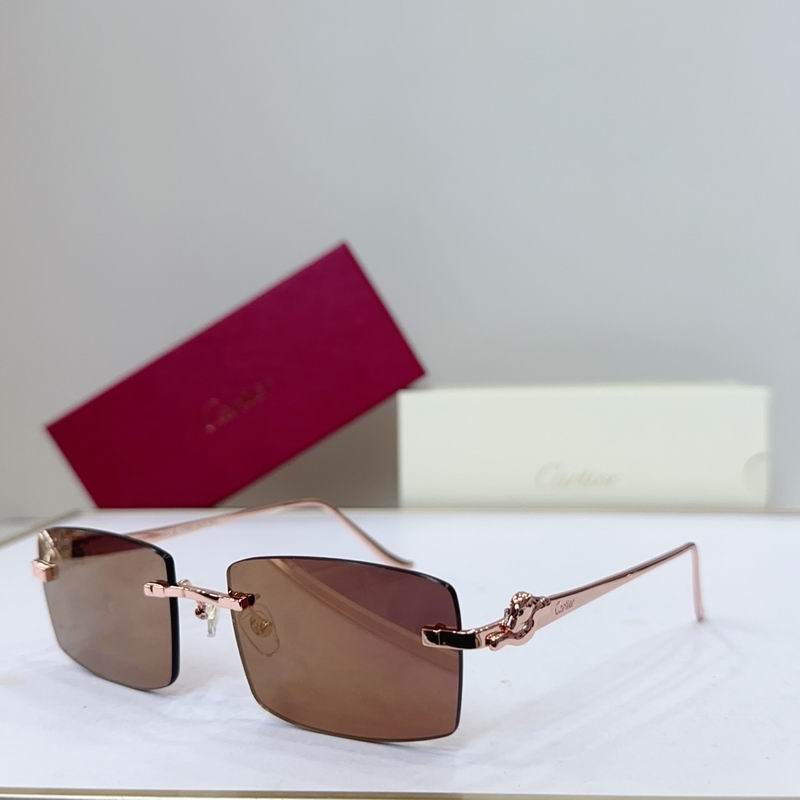 Cartier CT0552S 55 22-135 G06