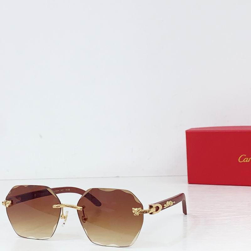 Cartier CT0557S 143 60-143 b02