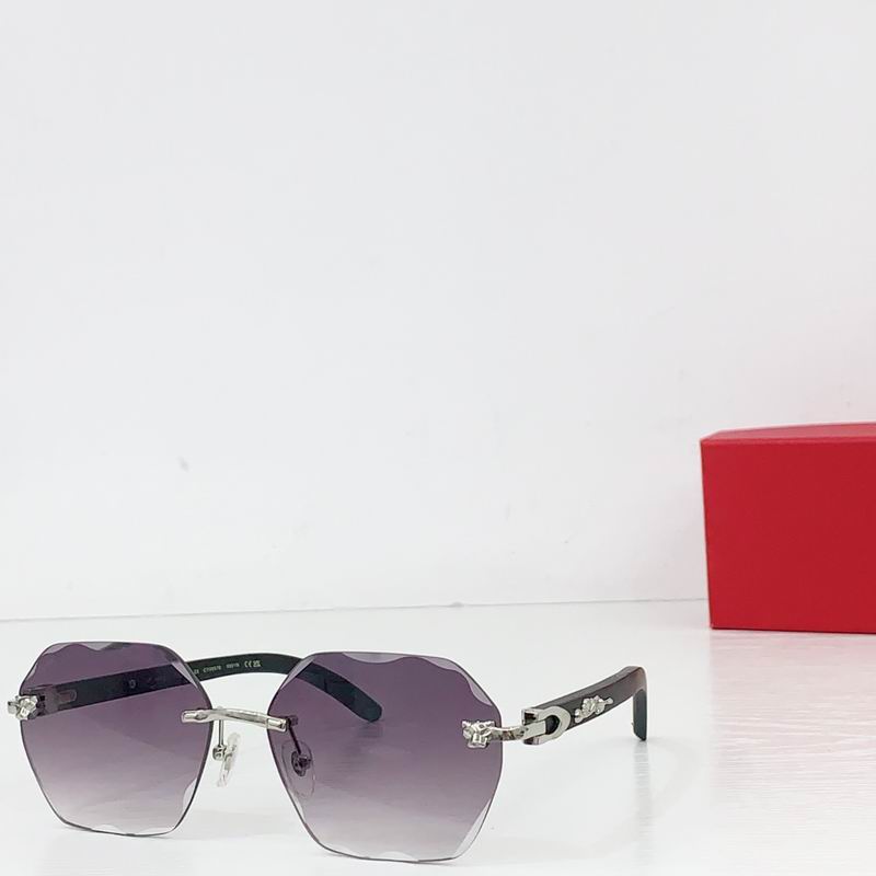 Cartier CT0557S 143 60-143 b04