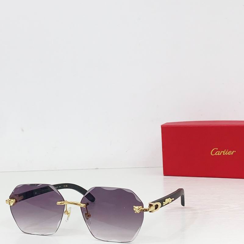 Cartier CT0557S 143 60-143 b05