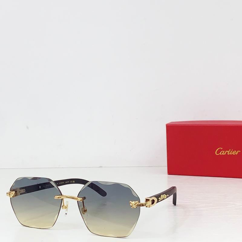 Cartier CT0557S 143 60-143 b06