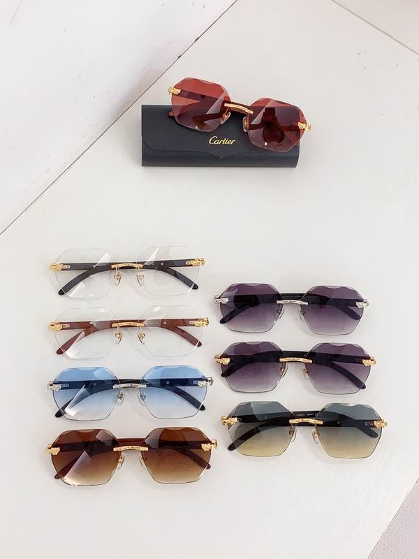 Cartier CT0557S 143 60-143 b09