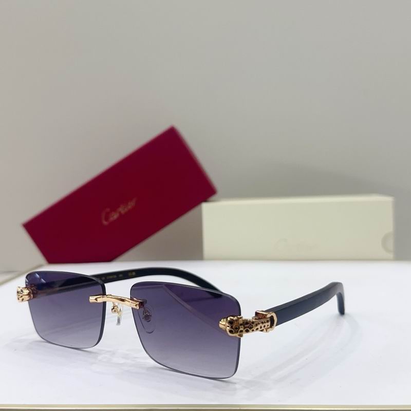 Cartier CT0613S G01