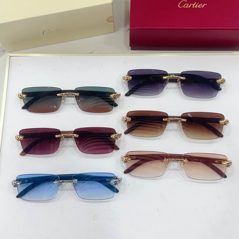 Cartier CT0613S G09