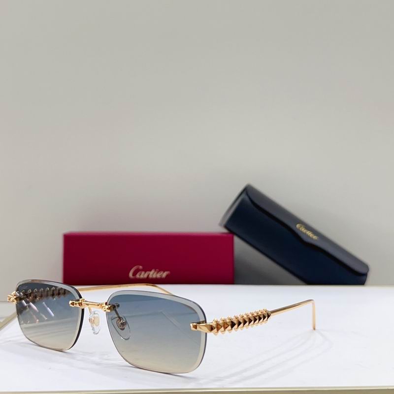 Cartier CT0689S 0313041 g01