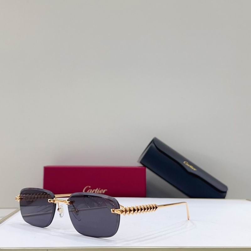 Cartier CT0689S 0313041 g06