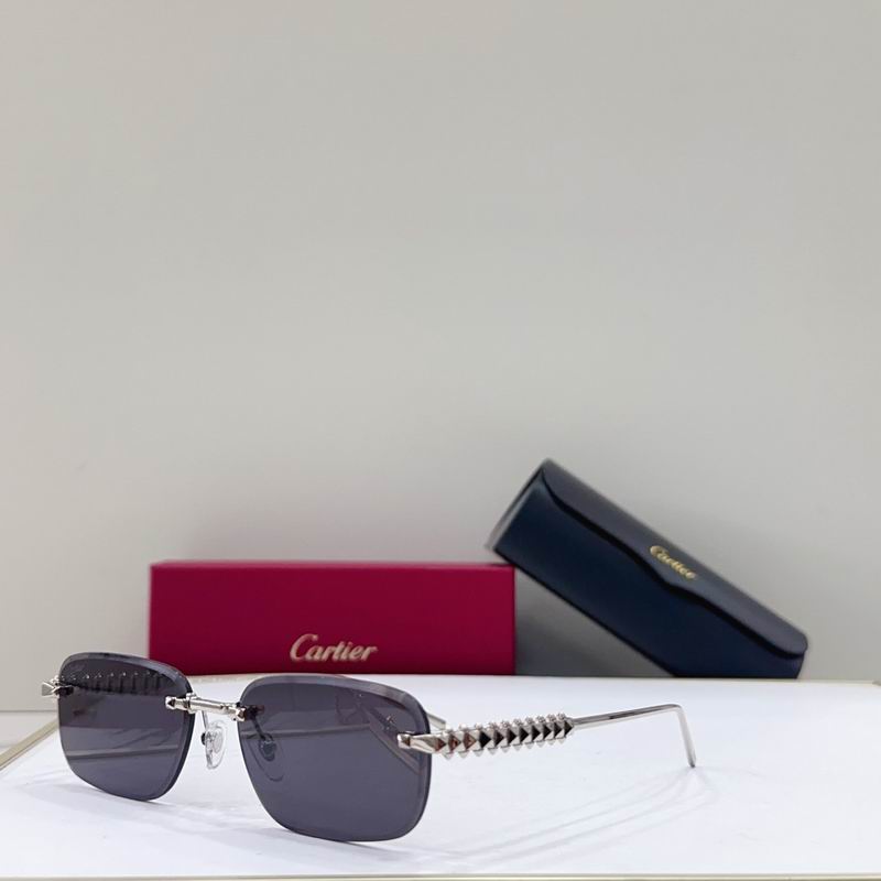 Cartier CT0689S 0313041 g07