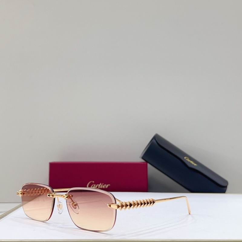 Cartier CT0689S 0313041 g08