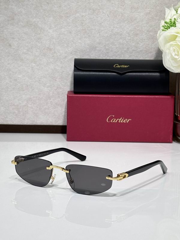 Cartier CT0818S 145 c01