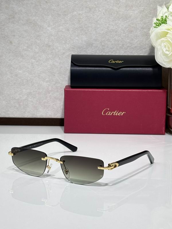 Cartier CT0818S 145 c02