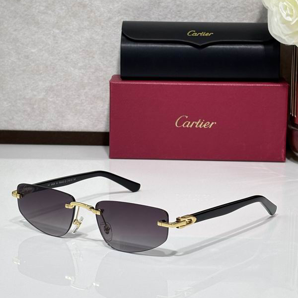 Cartier CT0818S 145 c03