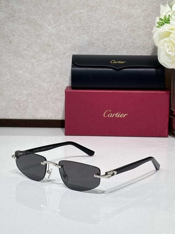 Cartier CT0818S 145 c04