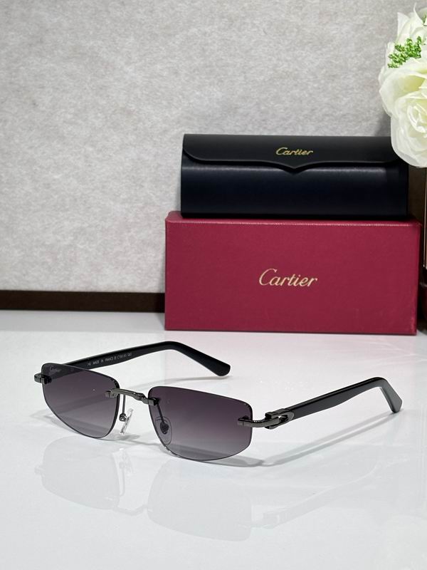 Cartier CT0818S 145 c05