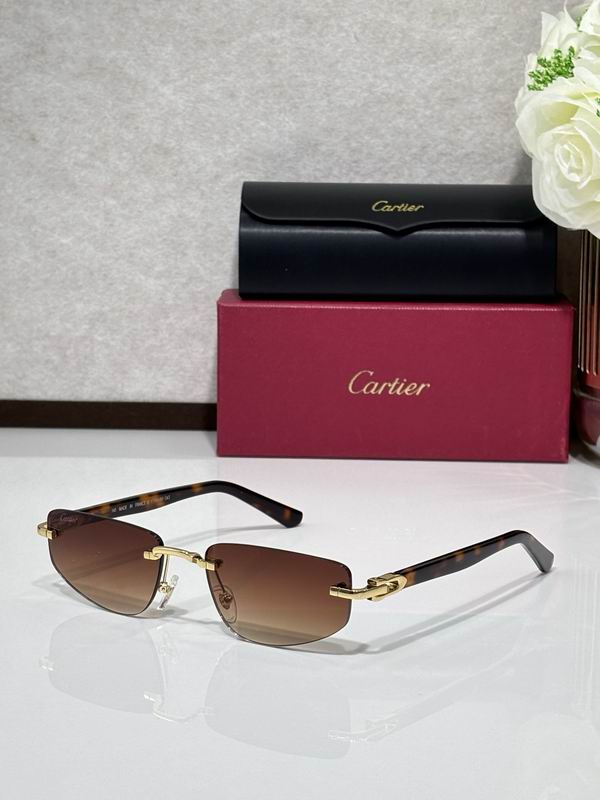 Cartier CT0818S 145 c06