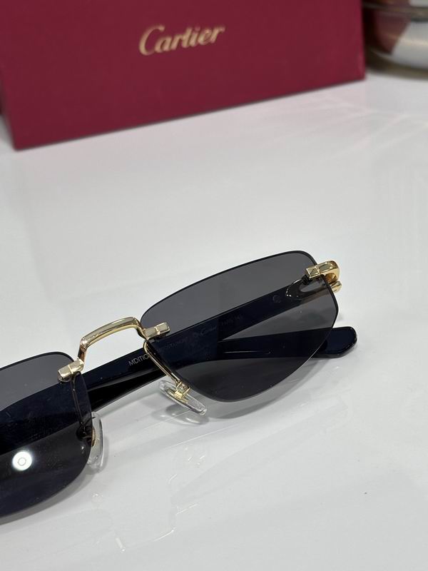 Cartier CT0818S 145 c07