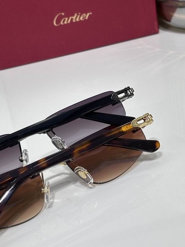 Cartier CT0818S 145 c08