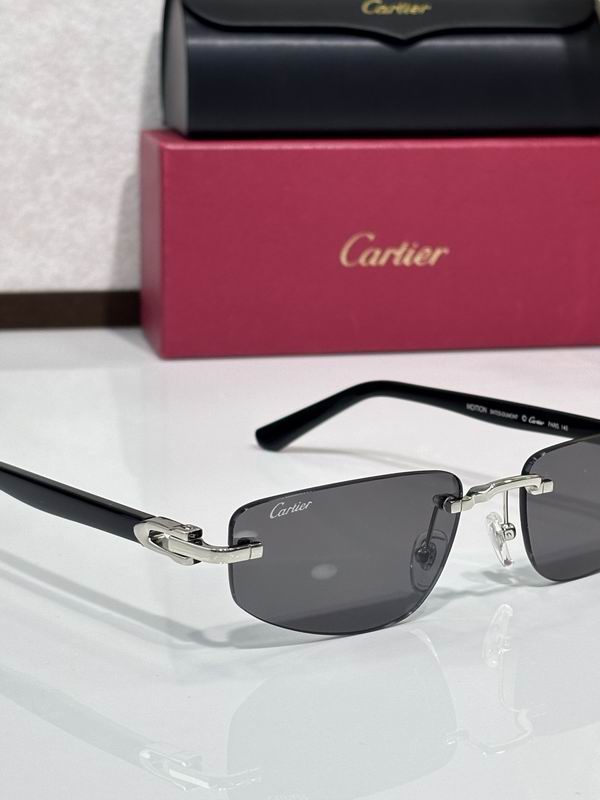 Cartier CT0818S 145 c09