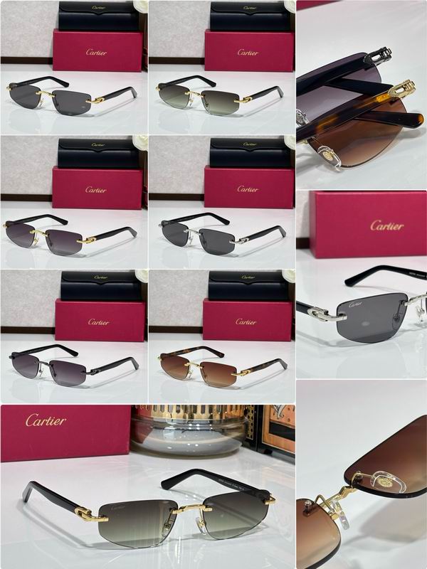 Cartier CT0818S 145 c10