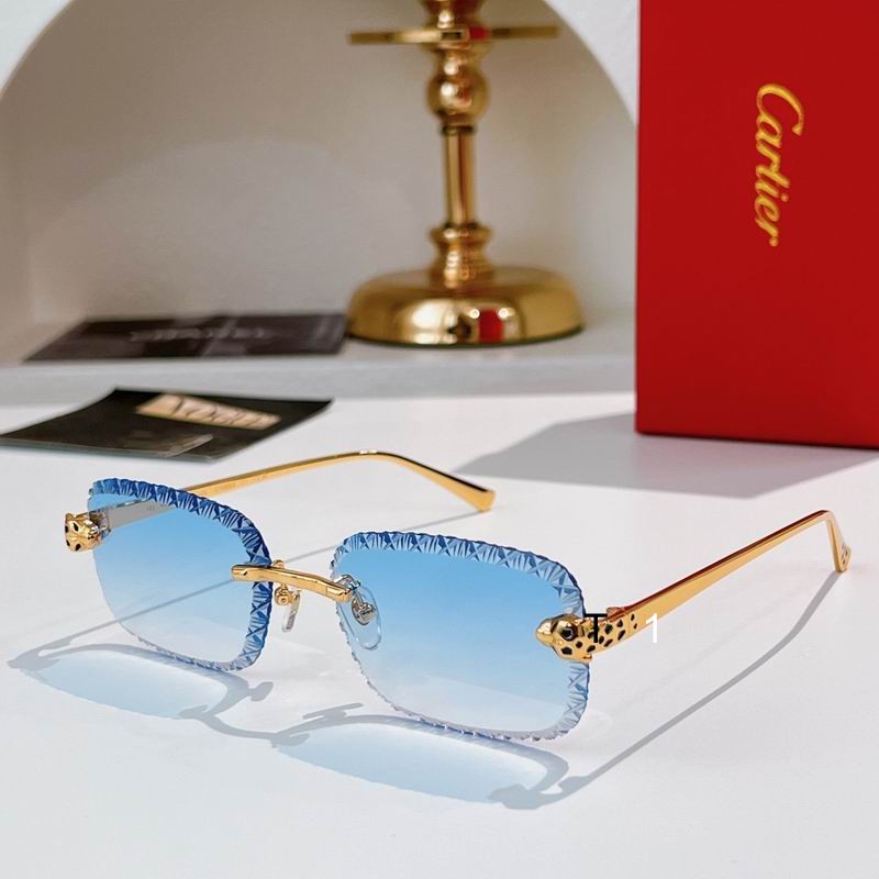 Cartier CT0830S 58 17-143 A01