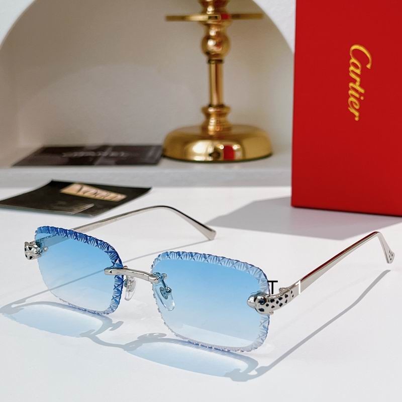 Cartier CT0830S 58 17-143 A02