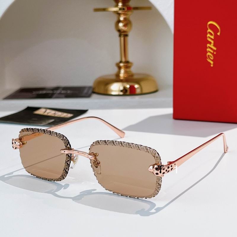 Cartier CT0830S 58 17-143 A03