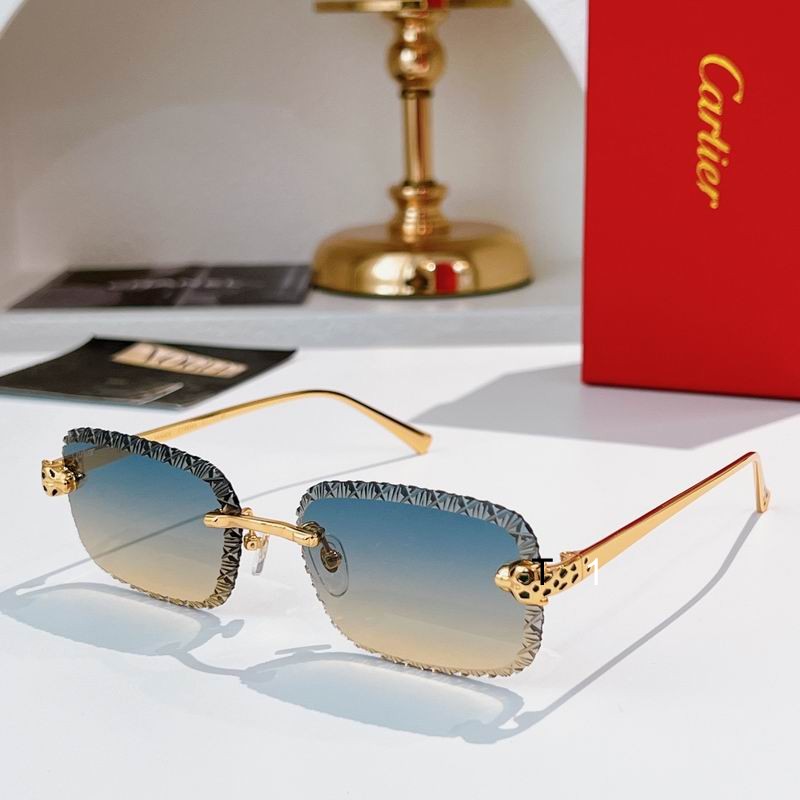 Cartier CT0830S 58 17-143 A06