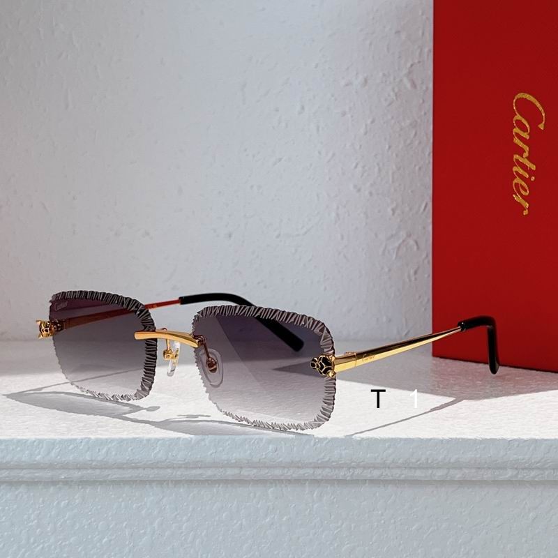 Cartier CT0831S 59 17-143 A01