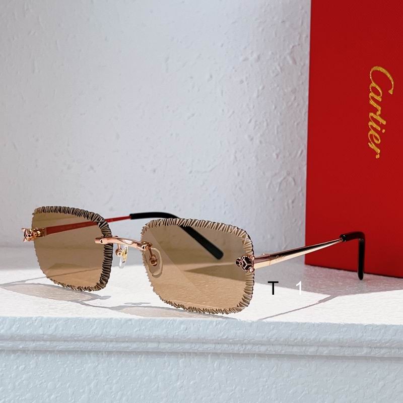 Cartier CT0831S 59 17-143 A04