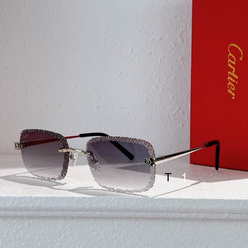 Cartier CT0831S 59 17-143 A06