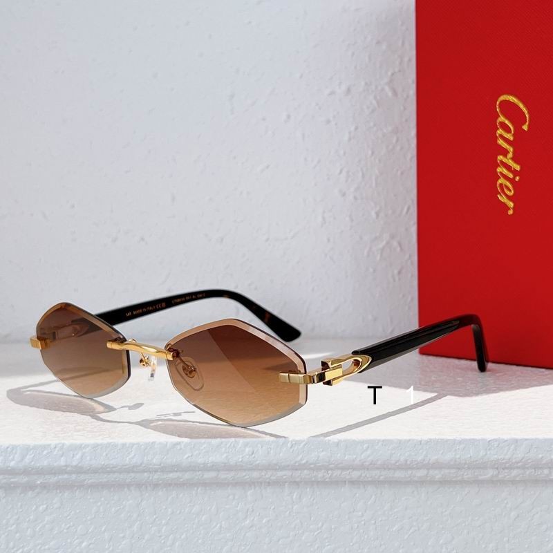 Cartier CT0901S 59-21-145 a02